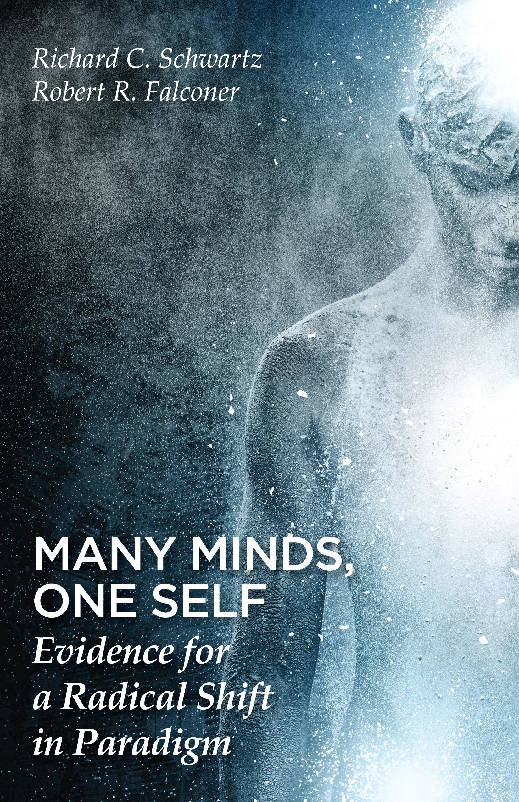 many minds cover only.jpg