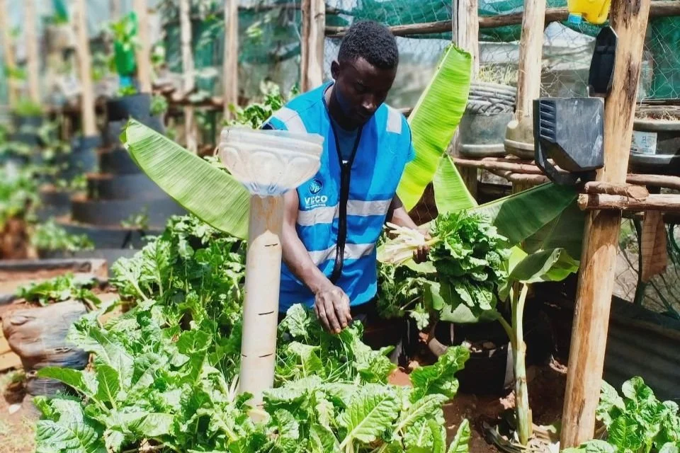 Leaving No One Behind: Community-led Efforts to Tackle Food Insecurity in Informal Settlements