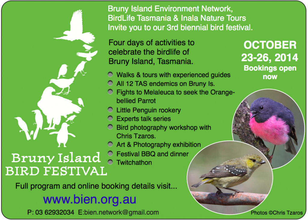 Bird Festival Flyer