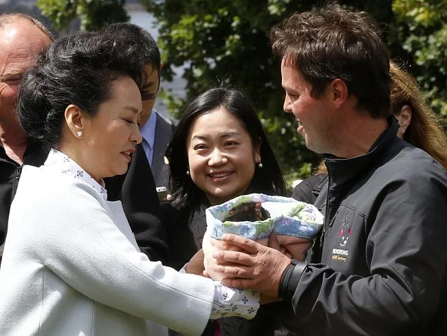 Greg China President