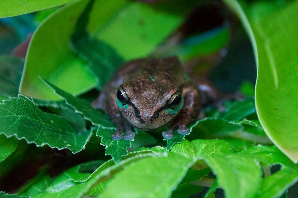 12036575_1066601946690999_7583636710869789143_n