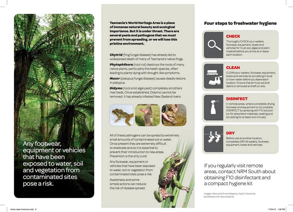 12027557_1066601996690994_1457154927329861946_n