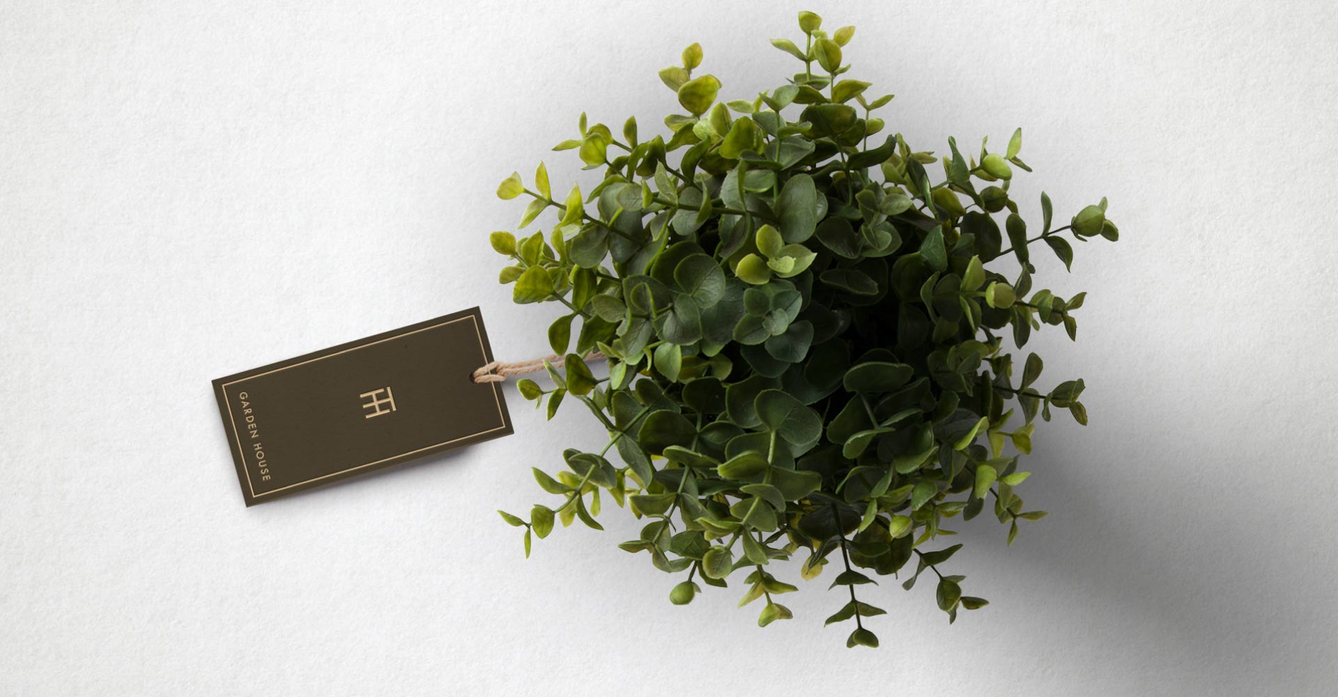 Creative_Retail_Packaging_Thompson_Hanson_Branding_11.jpg