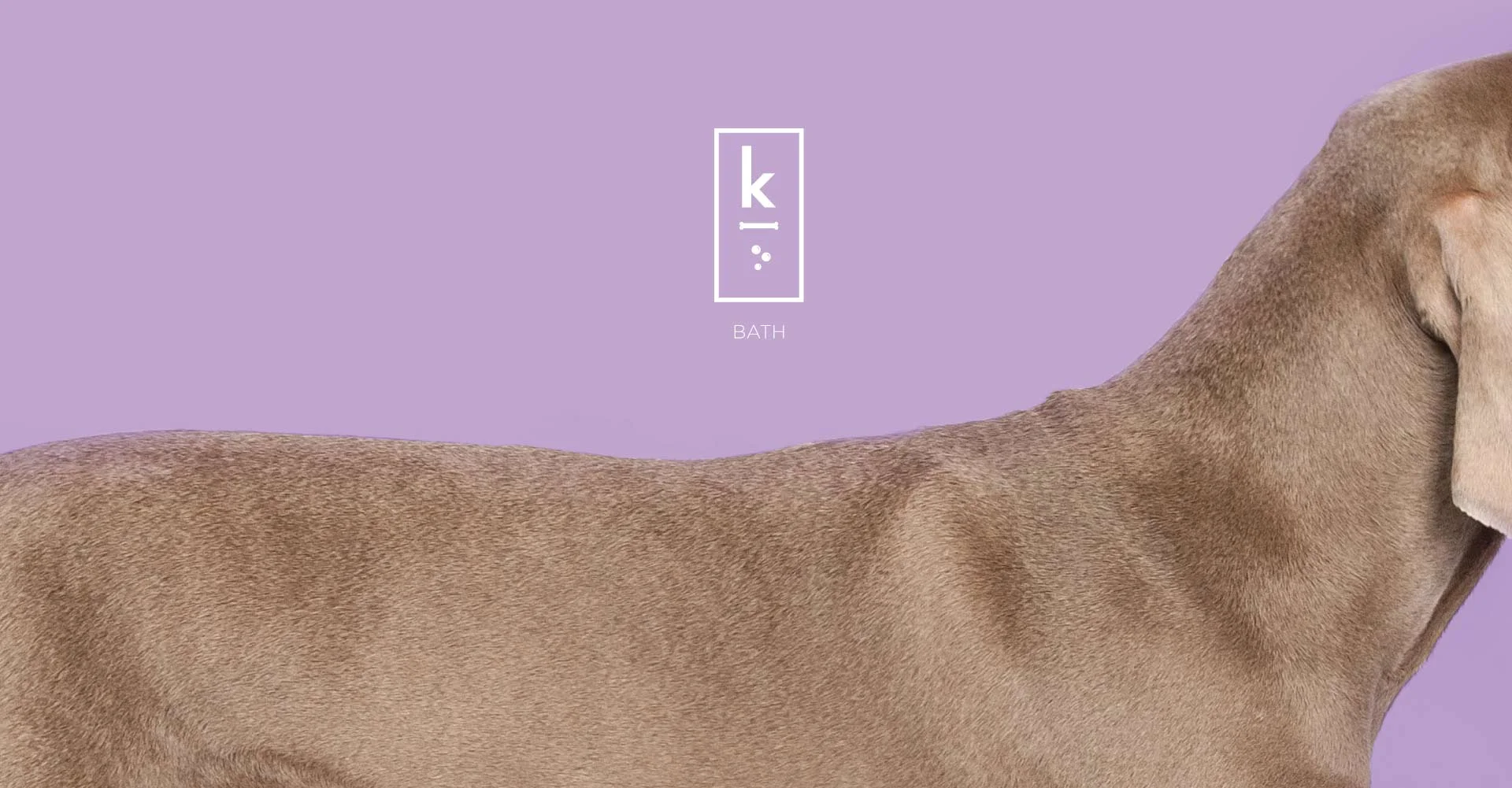 Creative_Retail_Packaging_Branding_Identity_Design_Klementime_12.jpg