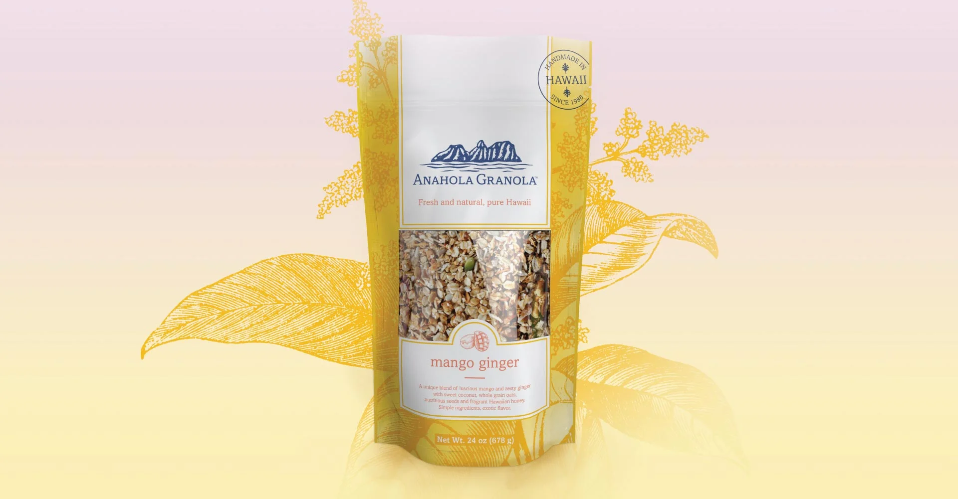 Creative_Retail_Packaging_Branding_Identity_Package_Design_AnaholaGranola_09.jpg