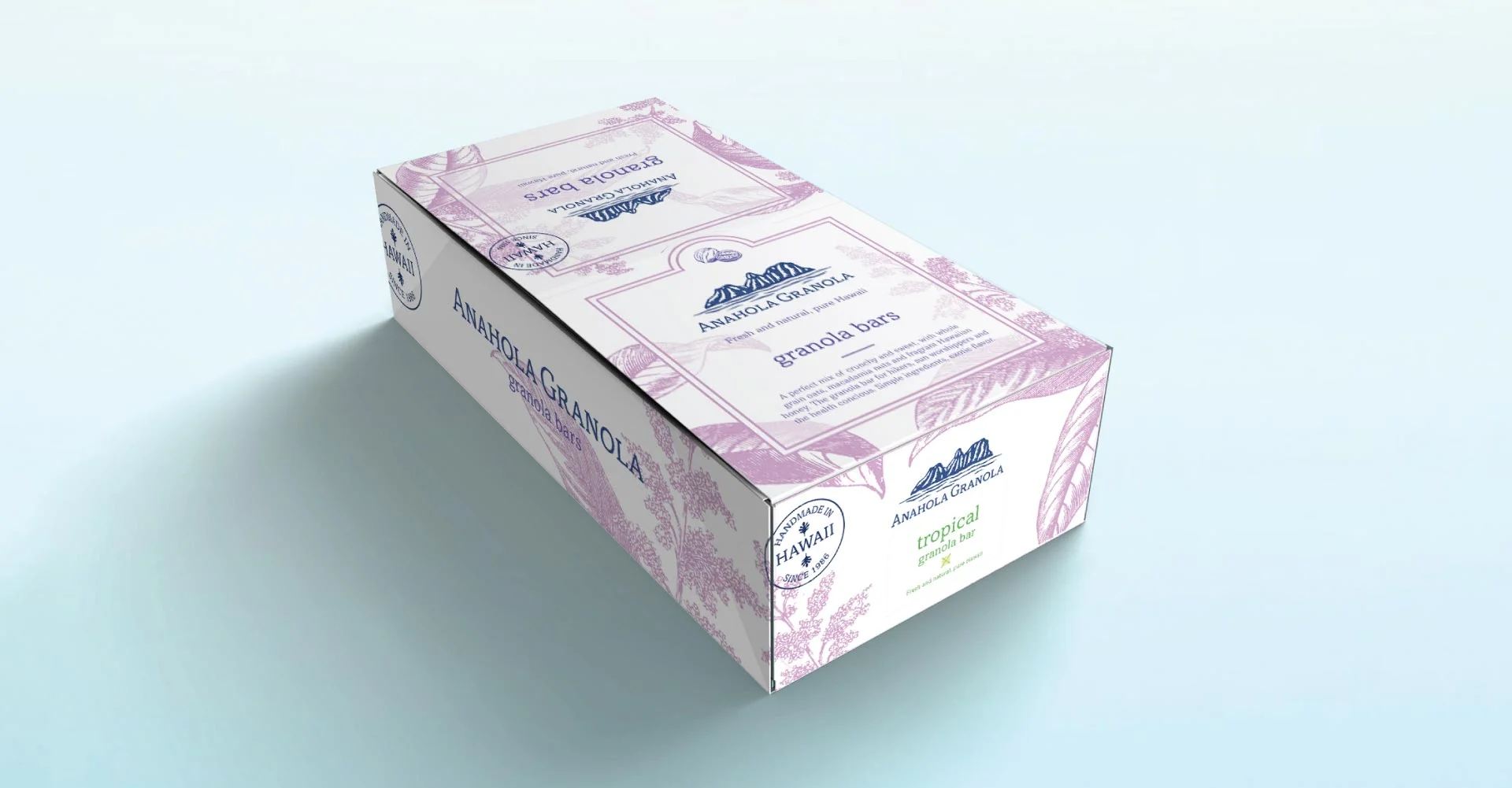 Creative_Retail_Packaging_Branding_Identity_Package_Design_AnaholaGranola_14.jpg