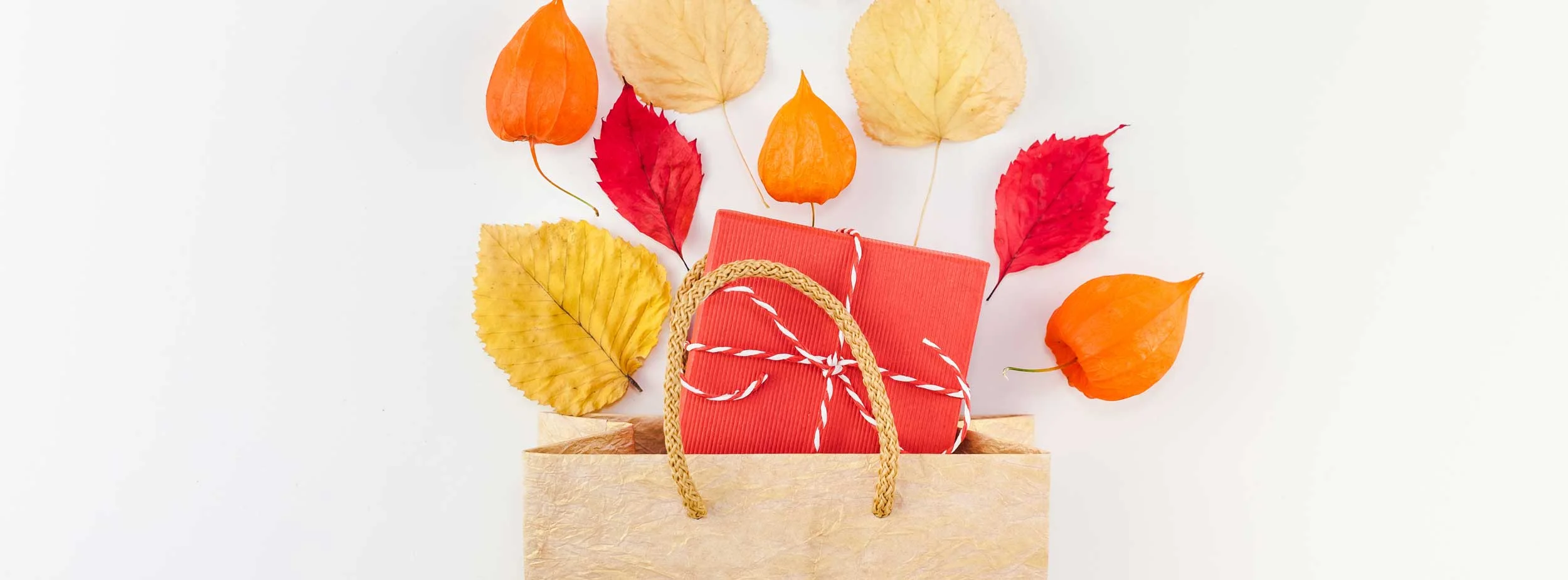 creative-top-view-flat-lay-autumn-composition-shopping-bag-dried-orange-flowers-leaves-background_t20_EnkWrQ.jpg