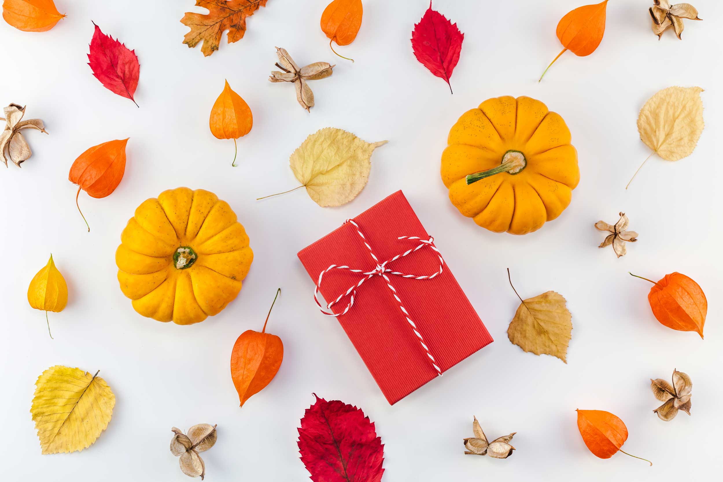 creative-top-view-flat-lay-autumn-composition-pumpkins-dried-orange-flowers-leaves-red-gift-box_t20_BlPRmO.jpg