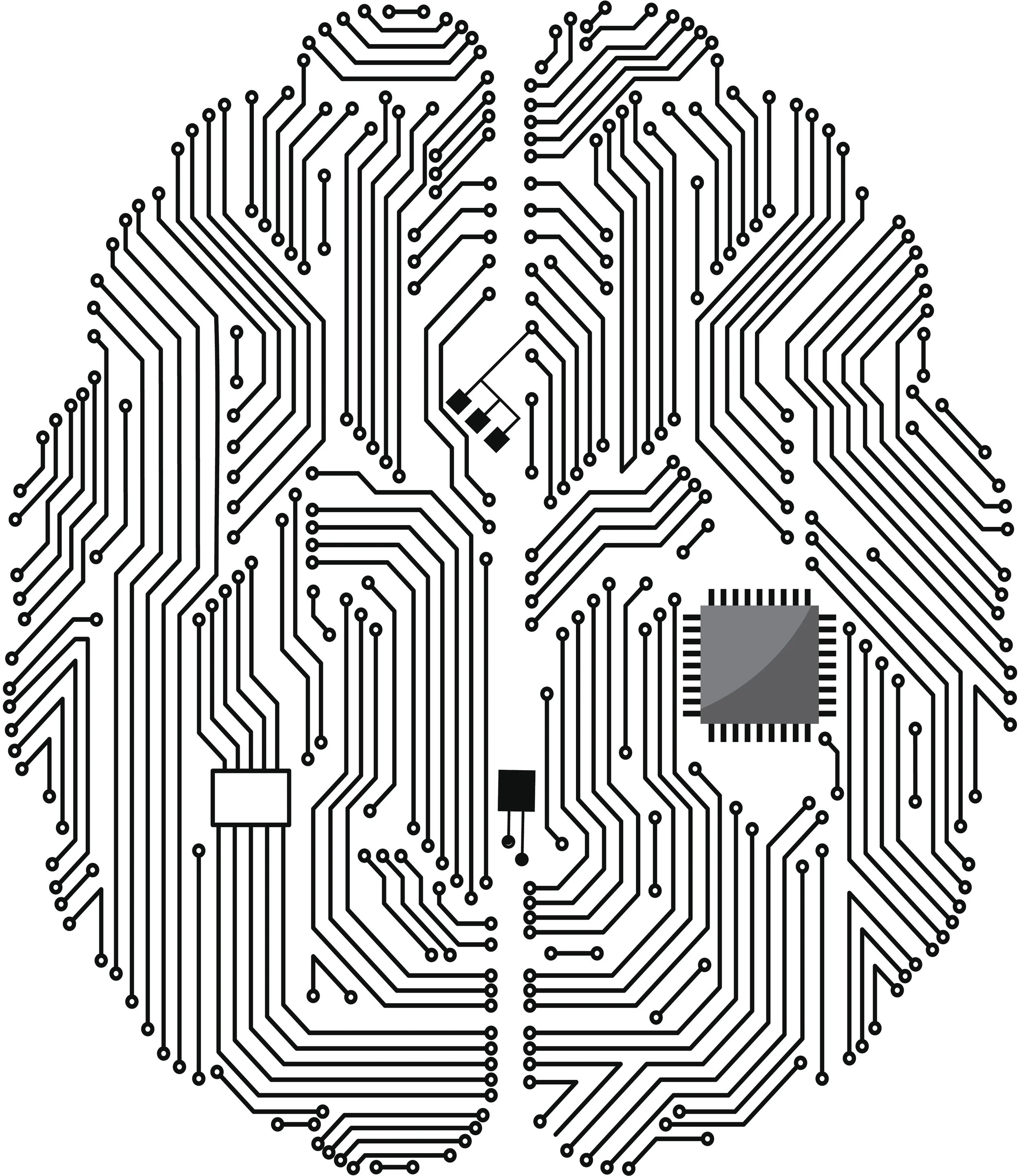 brain1.jpg
