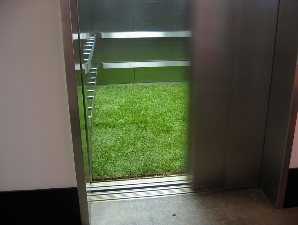 field01.jpg