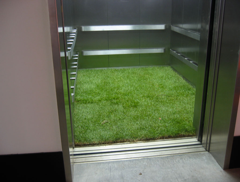 field02.jpg