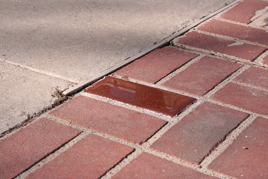 puddle5.jpg