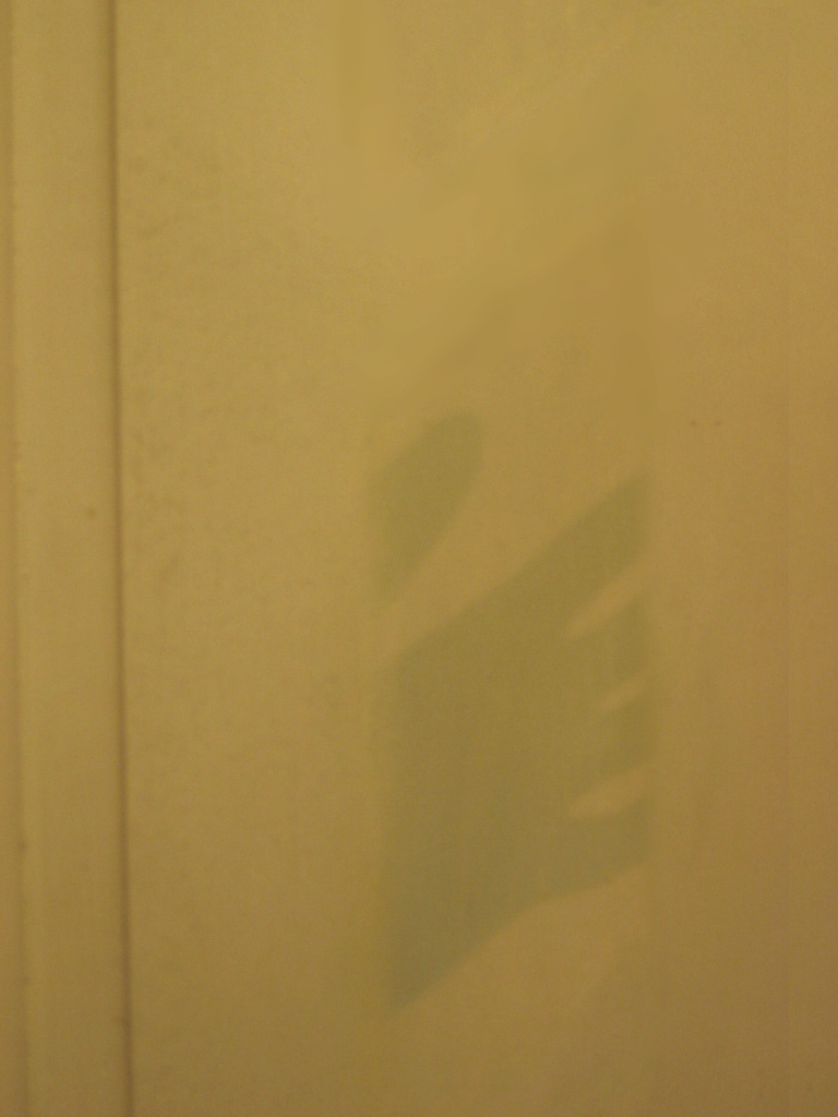 HandShadow.jpg