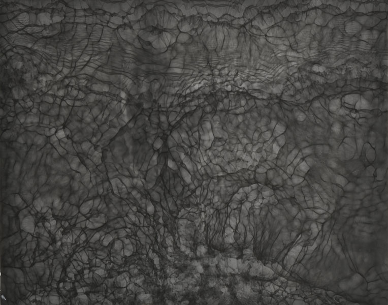 photogram4.jpg