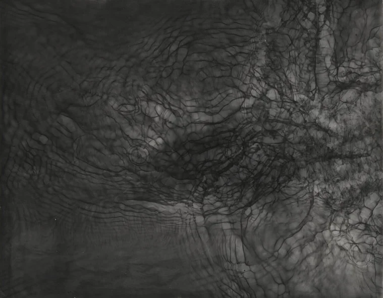 photogram7.jpg