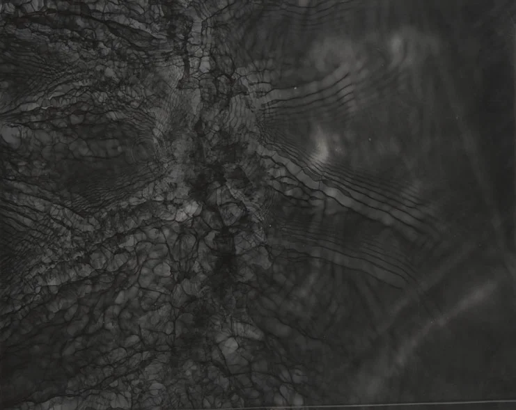 photogram8.jpg