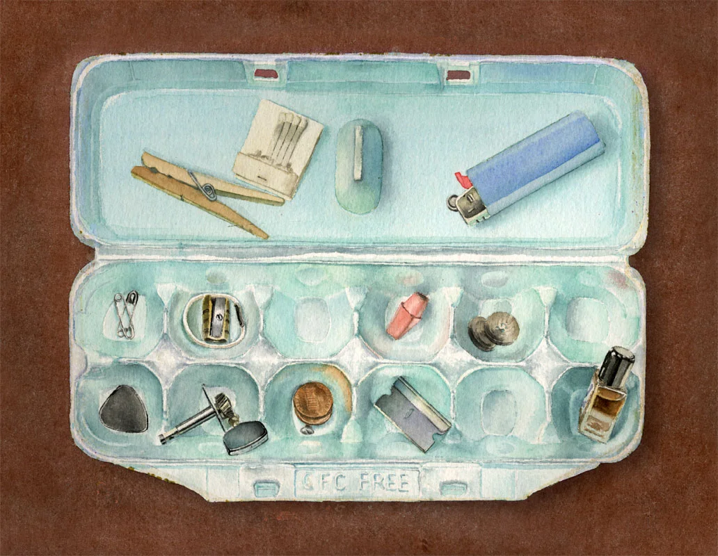 EggCarton.jpg
