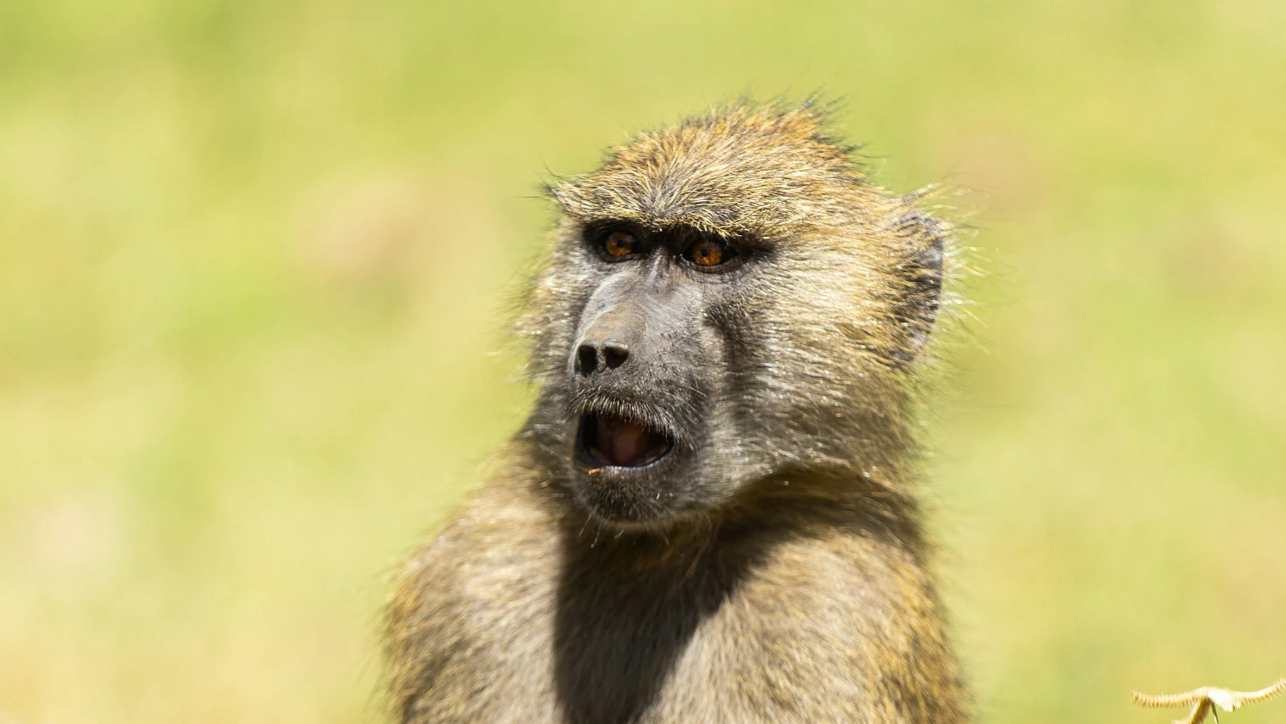 “The Title Company Will Catch It” and Other Dangerous Real Estate Myths