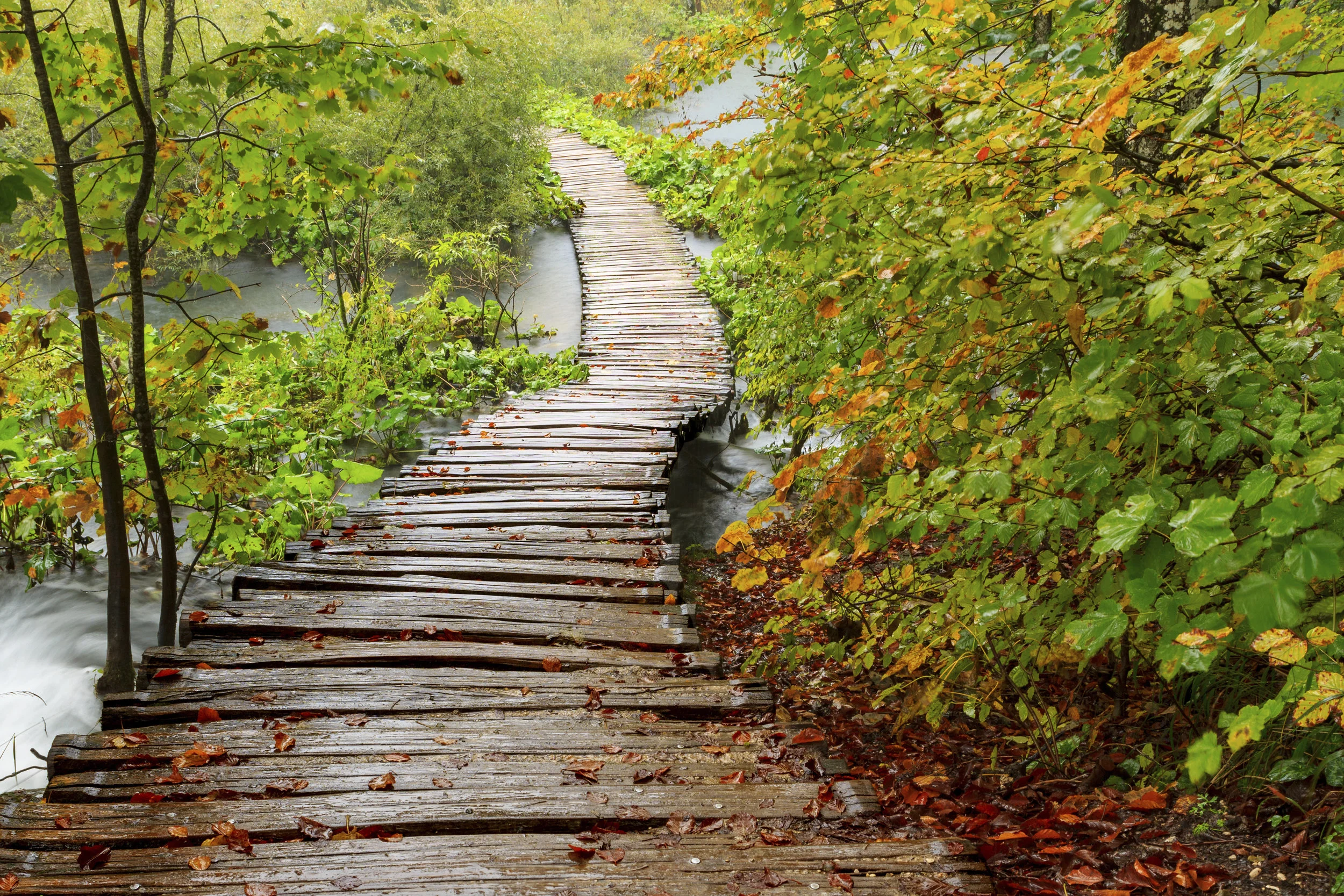 iStock_000078004089_Large.jpg