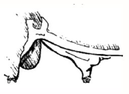 A score of 3 is moderate attachment and 1 & 2 have poor attachment (i.e. loose sheathed).