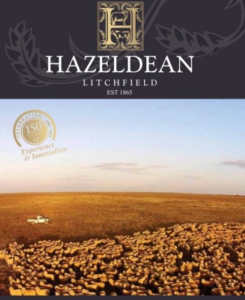 View Hazeldean Merino Brochure