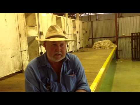 Why breeders & industry experts recommend Hazeldean genetics - short version
