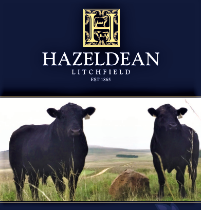 Hazeldean Spring Bull Sale 2017