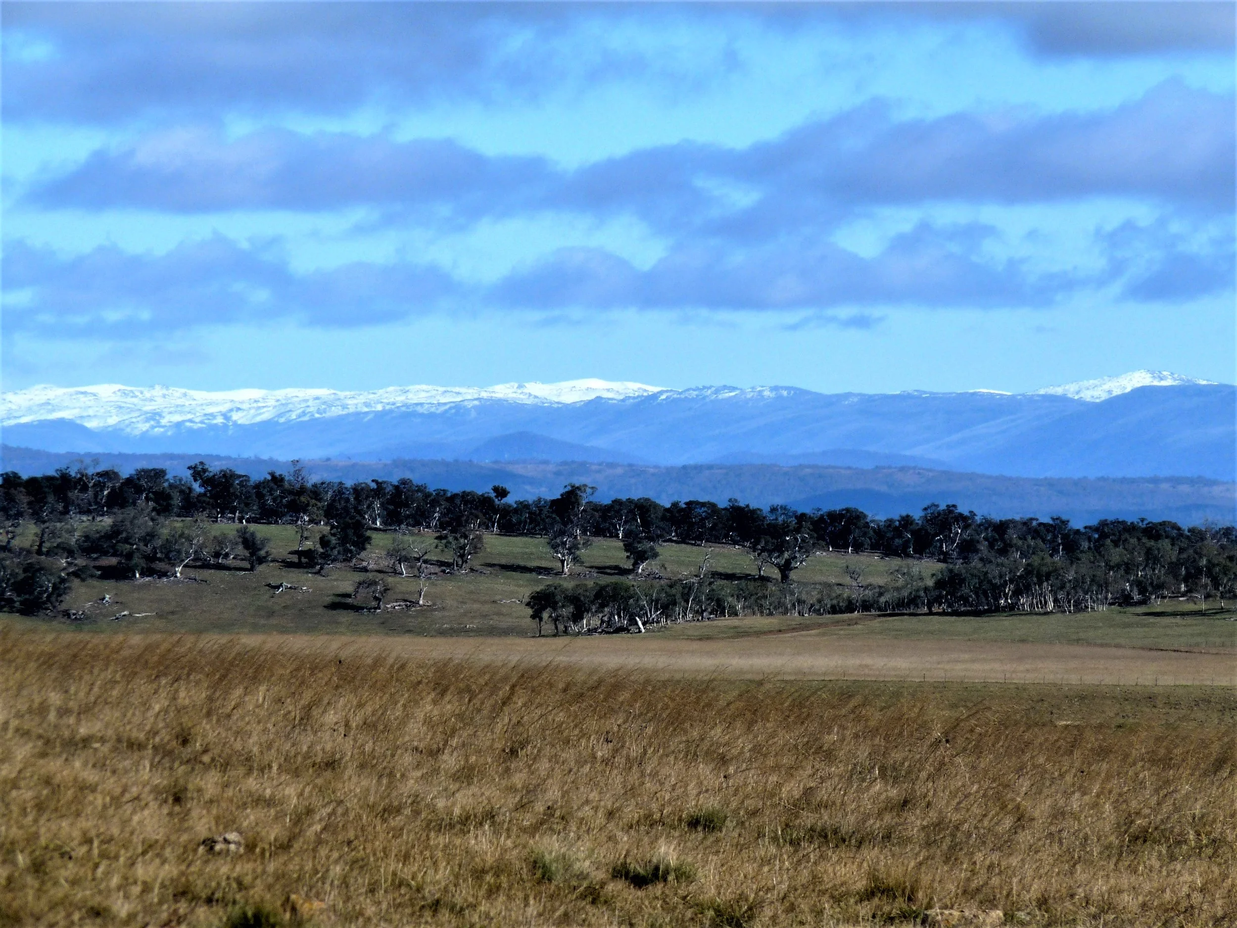 Hazeldean Litchfield — Hazeldean