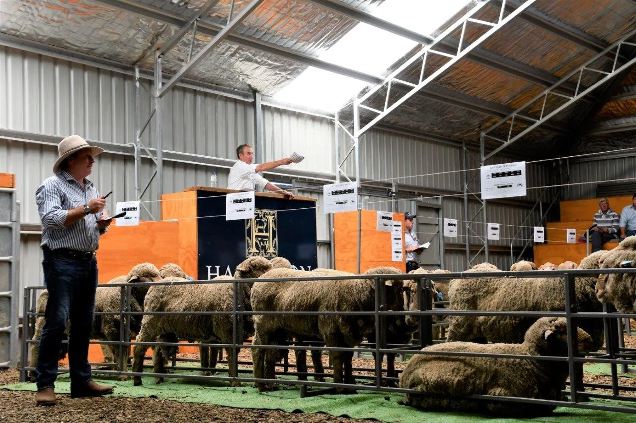 Hazeldean Best of the Best Ram Sale and Woolgrowers Breakfast 2021