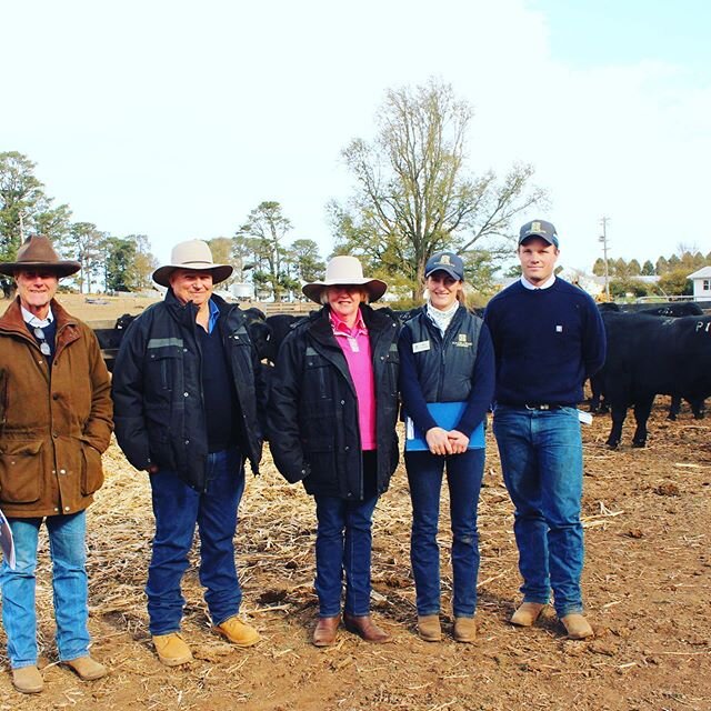 A big thankyou to all our supporters of our Autumn Bull Sale - a great result with 62 bulls sold for an average of $8347 and top of $16000. Good job team @willpendergast1 @ed_bradley_o1 @fages_mate98 @hamishhull #happybulls #happypeople #hazeldeanang