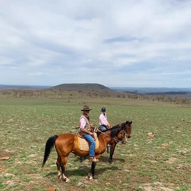 Top of the range - Monaro high country #magnificentmonaro