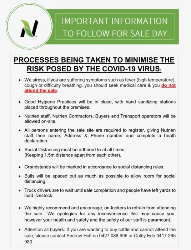 covid safety measures.jpg