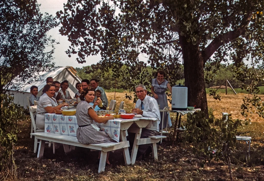 picnic.jpg