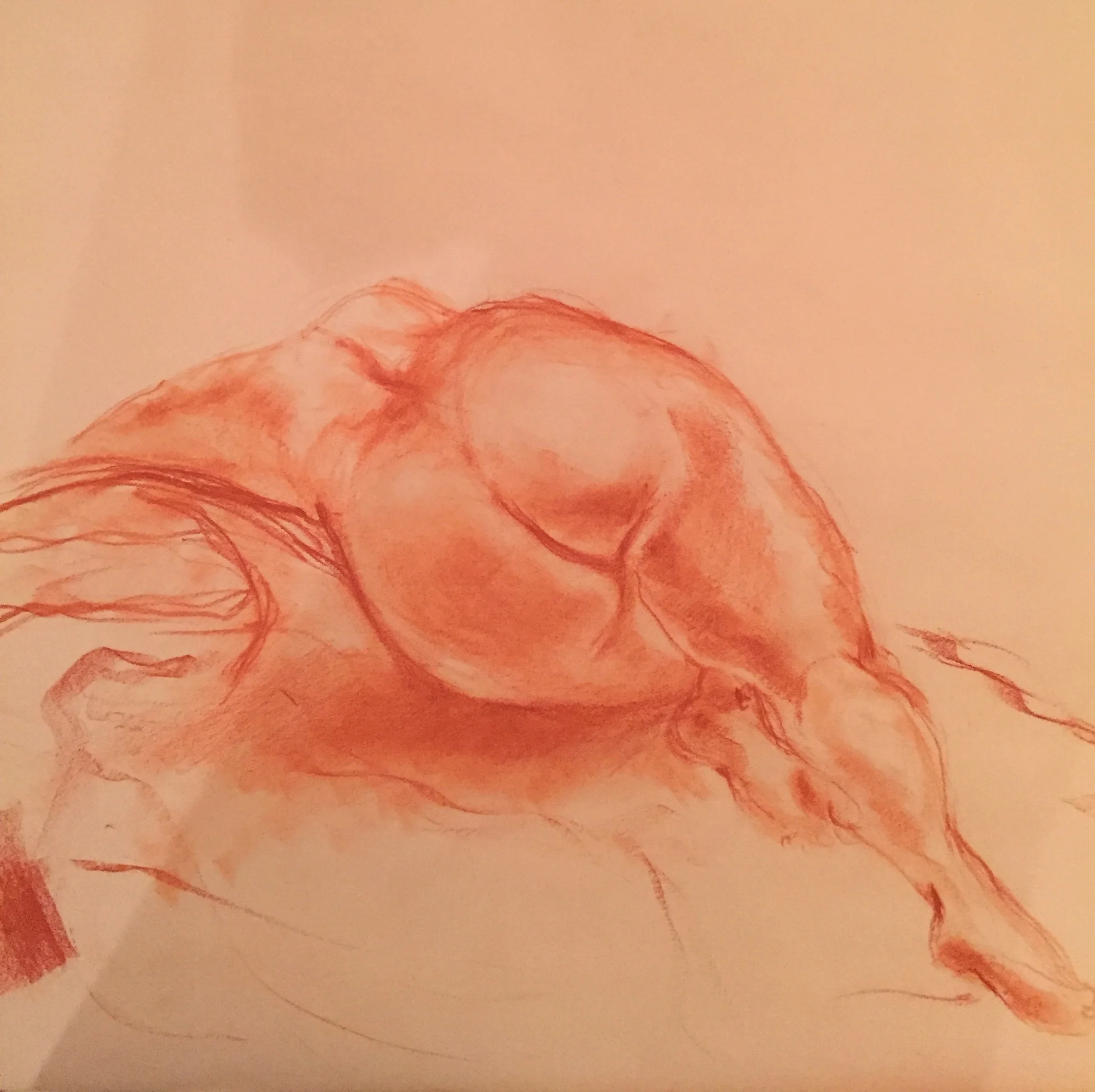 FullSizeRender copy 2.jpg