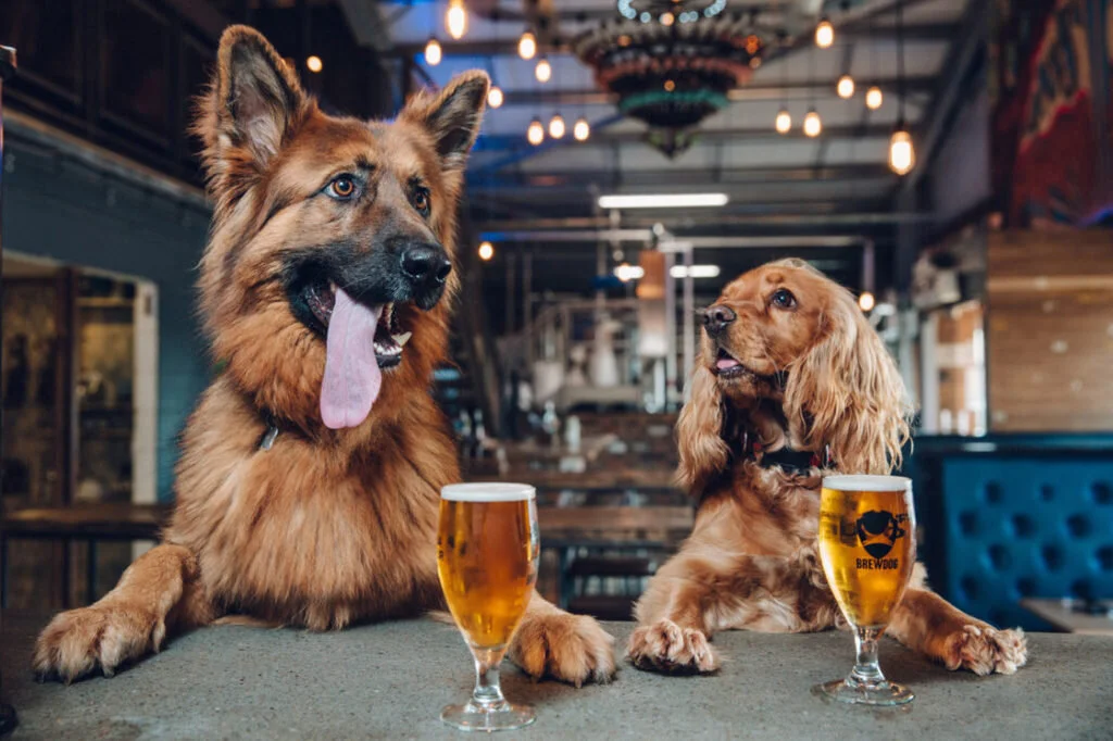 BrewDog-1024x682.jpg