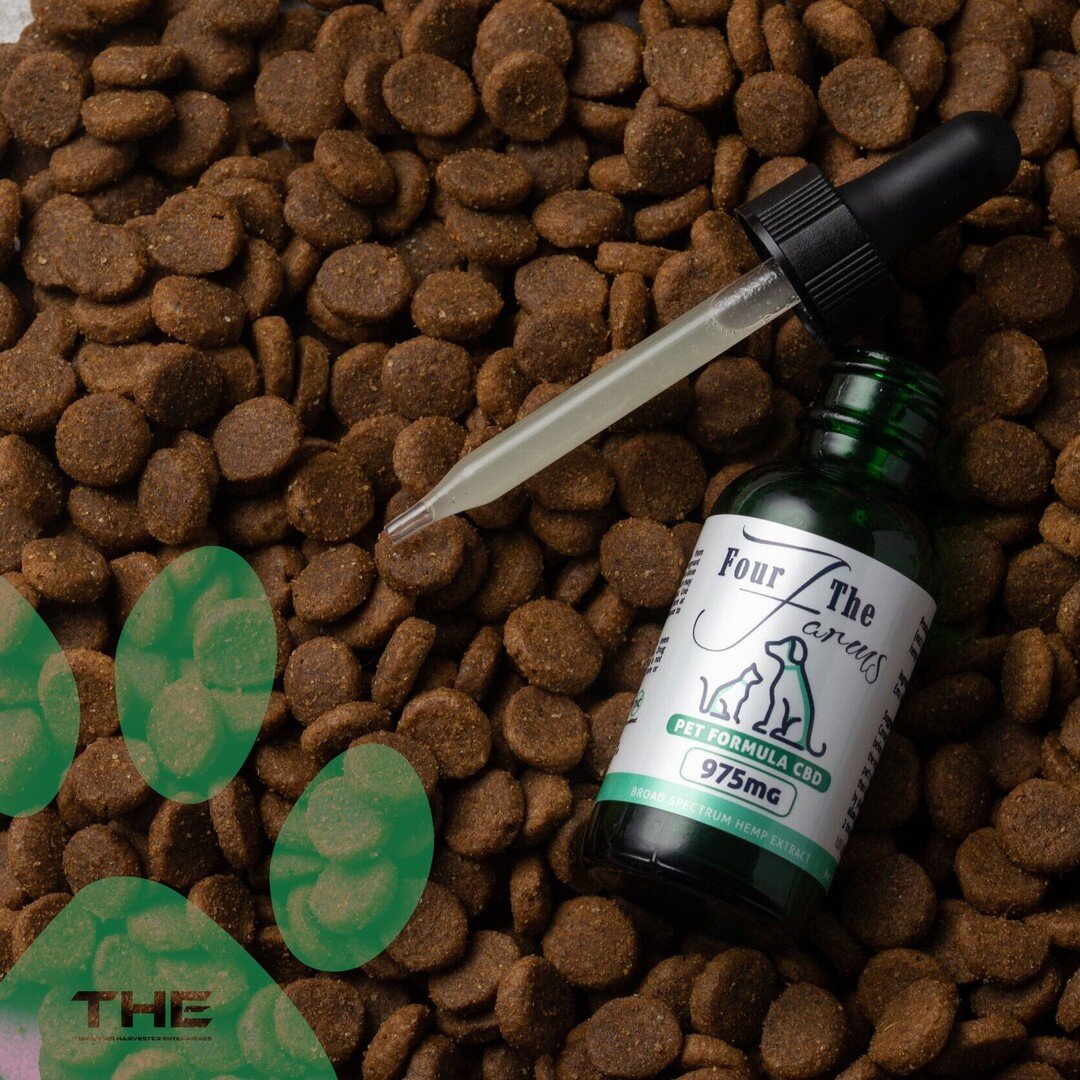 Mounting evidence suggests that hemp-extract may offer pets a wide variety of benefits!

Check out our website or talk to your vet today for more information! Link in bio.

#cbdlife #cbdproducts #cbdheals #cbdmovement #cbdcommunity #cbdvape #cbdwelln