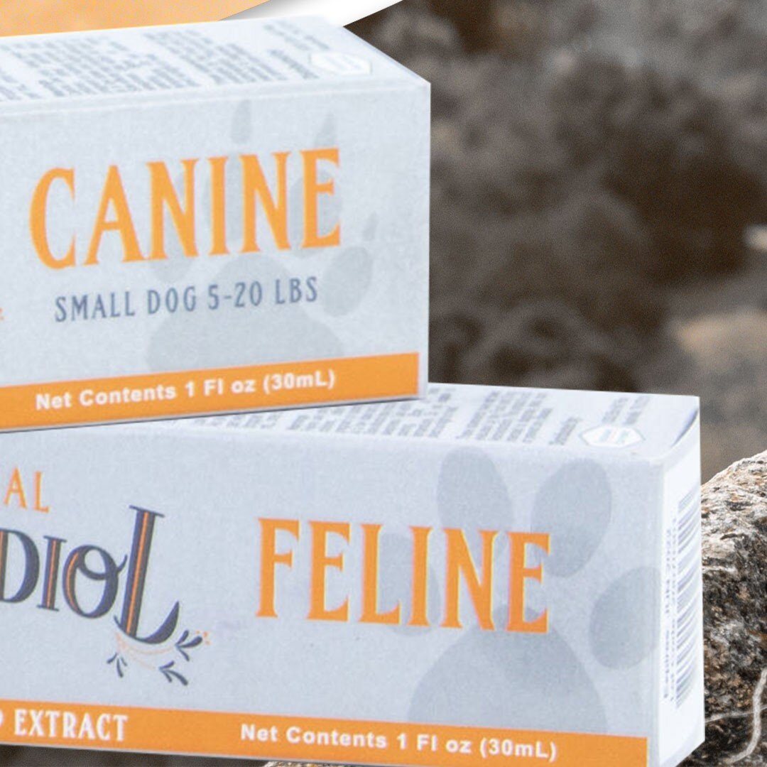 All Natural Cannabidiol - now available in formula specific blends for feline and canines ranging from small to large!

Speak with your veterinarian today about the benefits of all natural cannabidiol for your family friend today 🐾

#cbdhealth #cbd 
