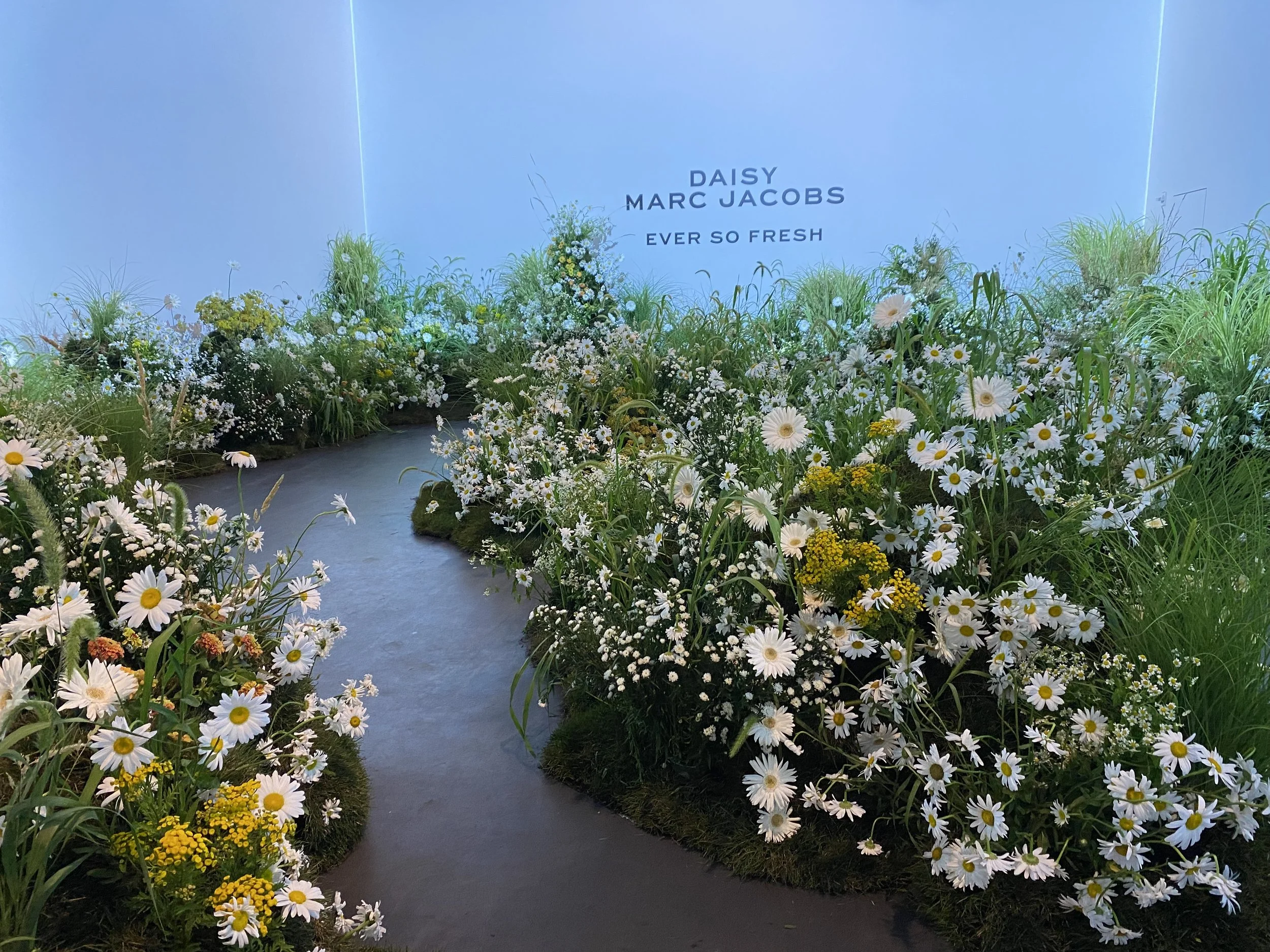 Flowerculttt for Qulture Agency and Marc Jacobs Daisy