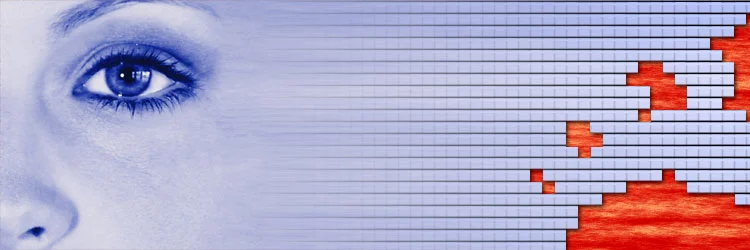 Web Banner: "CODEC"