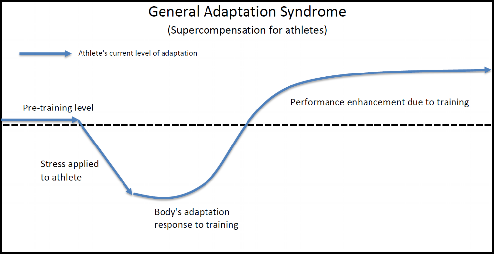 Credit: http://vandykestrength.com/pages/hybrid_model