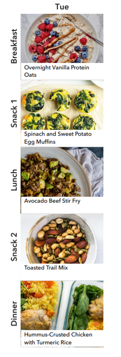 High Iron Daily Plan.png