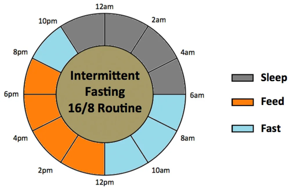 Intermittent Fasting Fuel Up Performance Nutrition