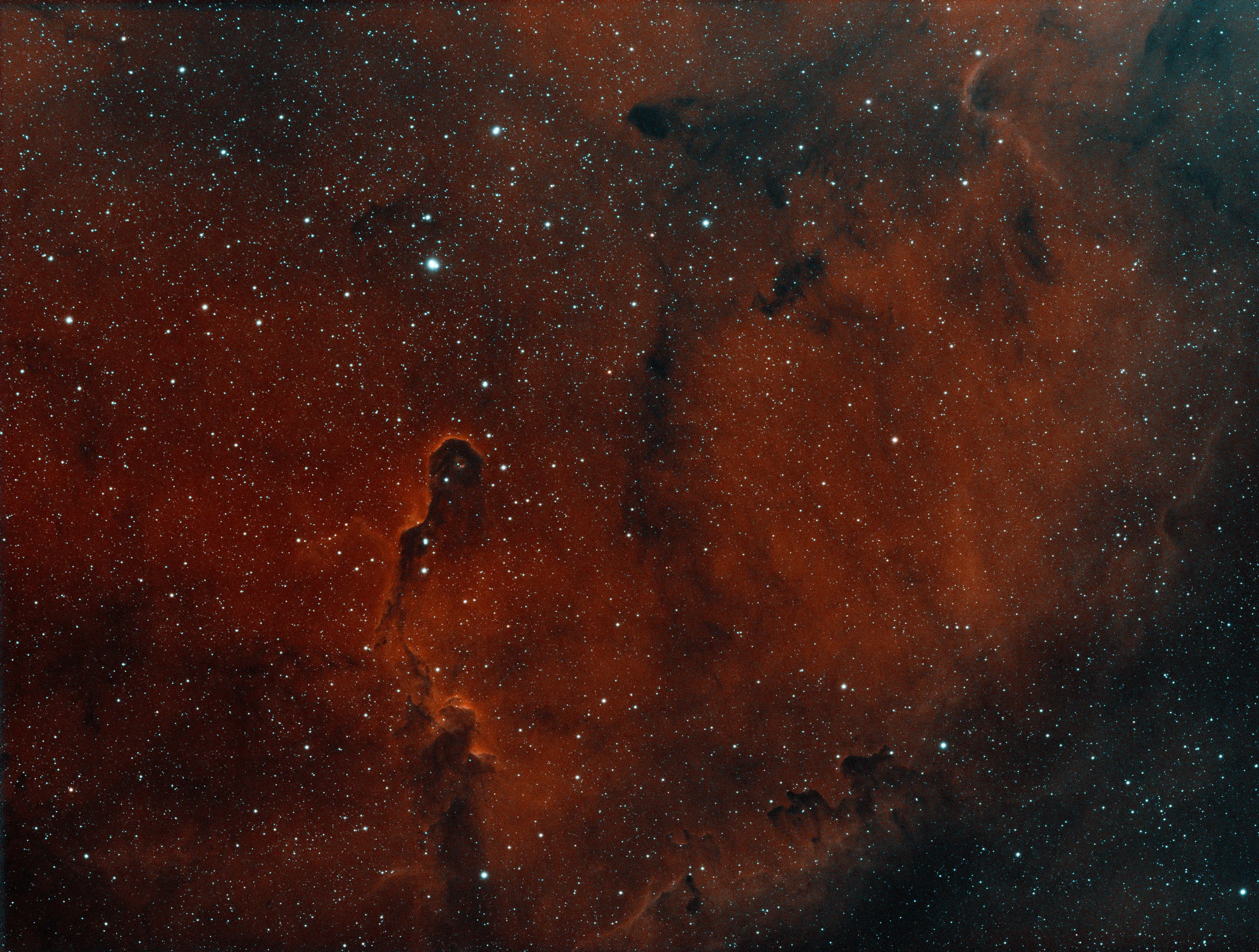 IC1396 - Elephant Trunk Nebula