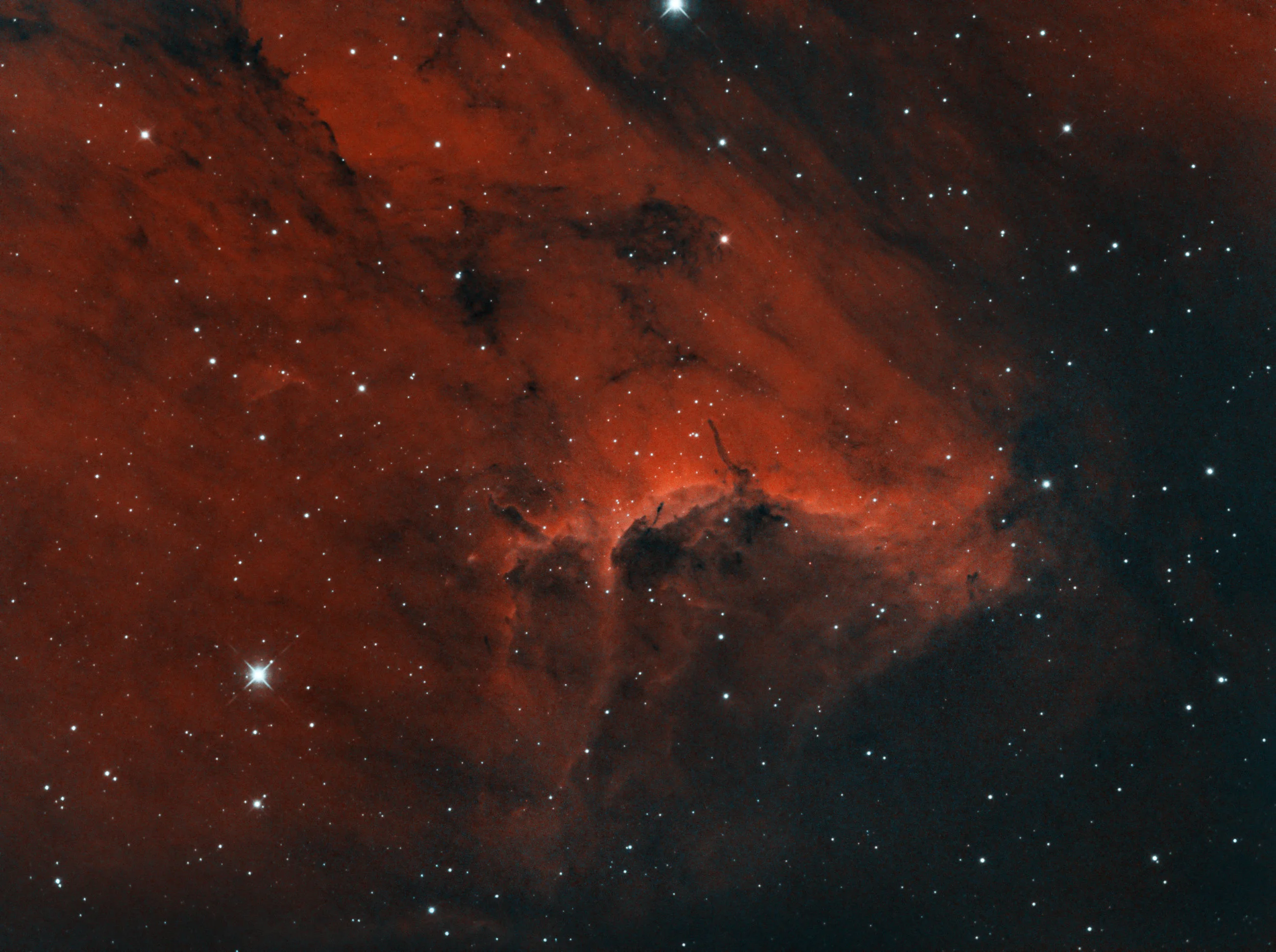 IC5070 - Pelican Nebula