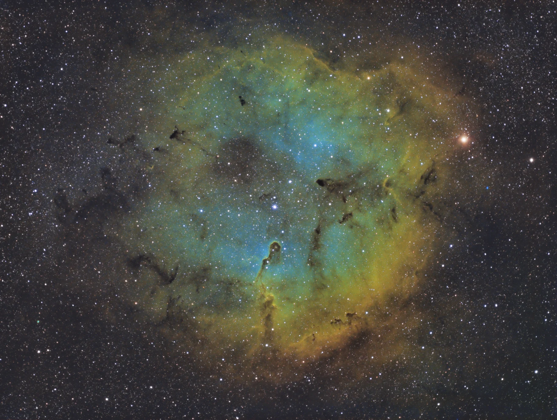 After about 6 nights of imaging, I had 37.8 total hours of integration. The above image is the final Elephant trunk nebula incorporating Hydrogen Alpha, Sulpher II, and Oxygen III filters.