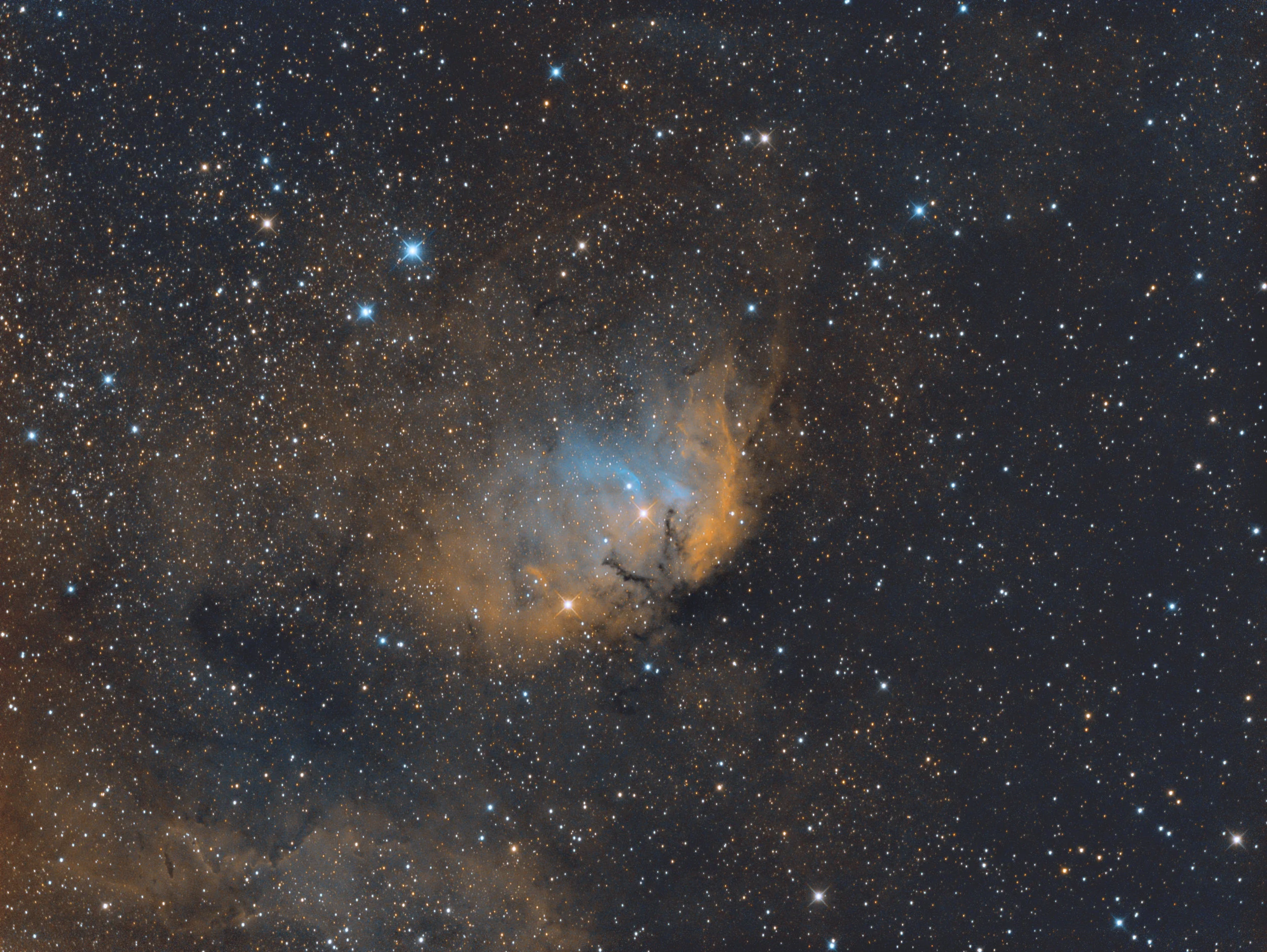 Sh2-101: The Tulip Nebula