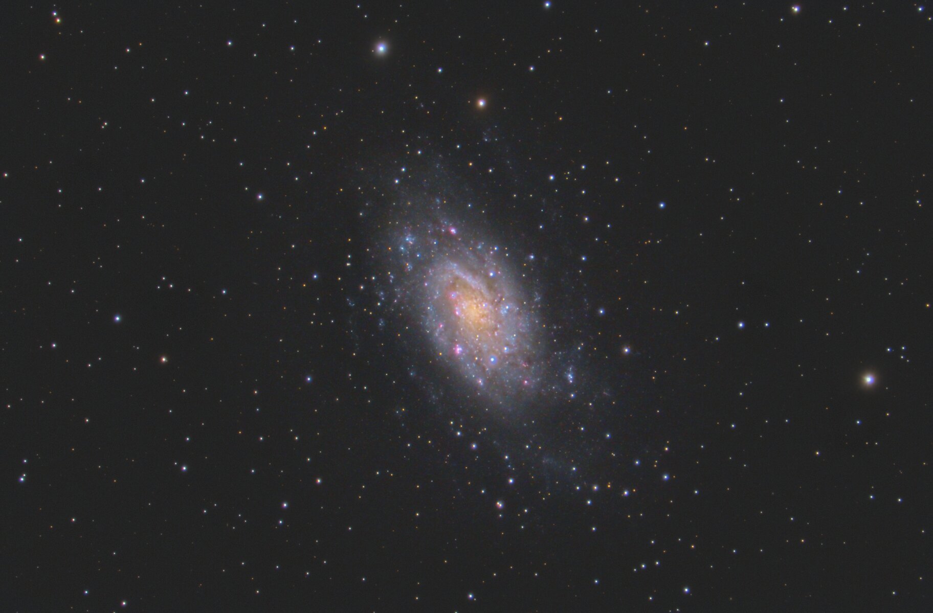 NGC 2403.jpg