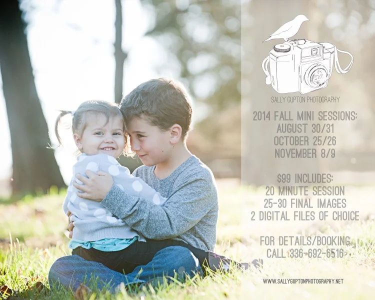 Winston Salem NC Fall Mini Sessions