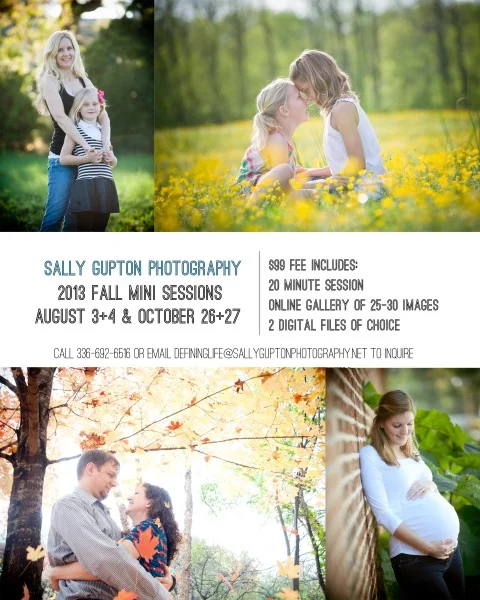 Fall Mini Sessions are here!