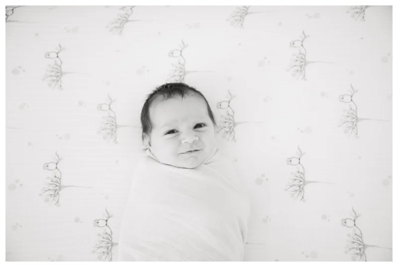 Welcoming Vaso {Winston Salem Newborn Photographer}